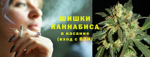 индика Покачи
