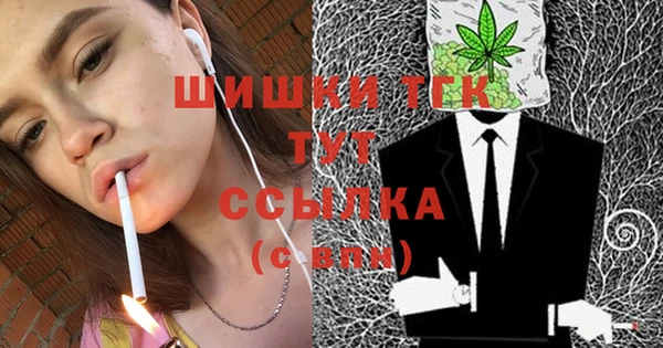 индика Покачи