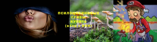 мет Переславль-Залесский