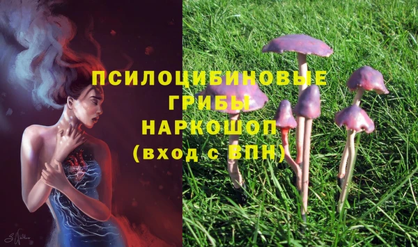 ALPHA PVP Пестово