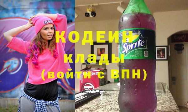 индика Покачи